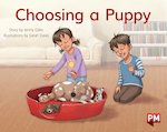 PM Yellow: Choosing a Puppy (PM Storybooks) Level 7