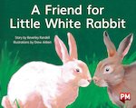 PM Yellow: A Friend for Little White Rabbit (PM Storybooks) Level 8