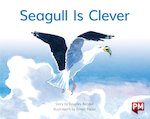 PM Yellow: Seagull is Clever (PM Storybooks) Level 8