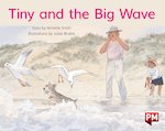 PM Yellow: Tiny and the Big Wave (PM Storybooks) Level 8