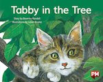 PM Blue: Tabby in the Tree (PM Storybooks) Level 10