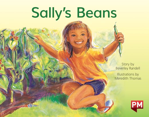 PM Yellow: Sally's Beans (PM Storybooks) Level 6 x 6