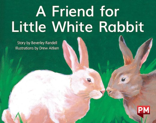 PM Yellow: A Friend for Little White Rabbit (PM Storybooks) Level 8 x 6