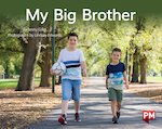 PM Yellow: My Big Brother (PM Non-fiction) Levels 8, 9 x 6