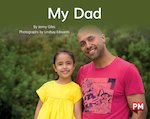 PM Yellow: Our Dad (PM Non-fiction) Levels 8, 9 x 6