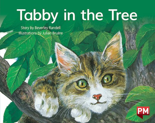 PM Blue: Tabby in the Tree (PM Storybooks) Level 10 x 6