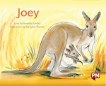 PM Green: Joey (PM Storybooks) Level 14 x 6