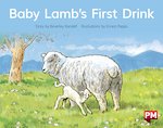 PM Red: Baby Lamb's First Drink (PM Storybooks) Level 4