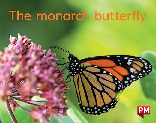 PM Magenta: The Monarch Butterfly (PM) Wordless Texts x6