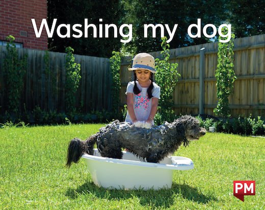 PM Magenta: Washing My Dog (PM) Wordless Texts x6