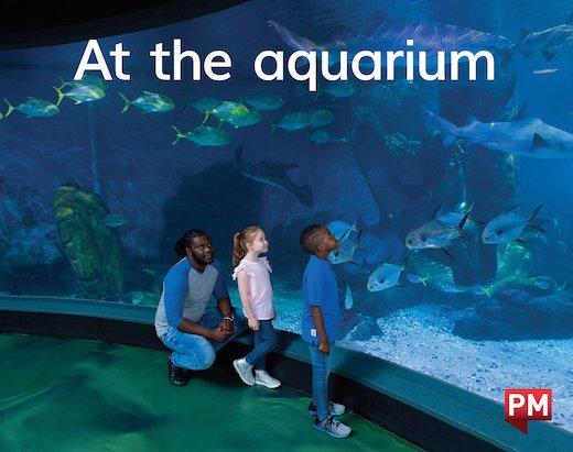 PM Magenta: At the Aquarium (PM) Level 2 x6