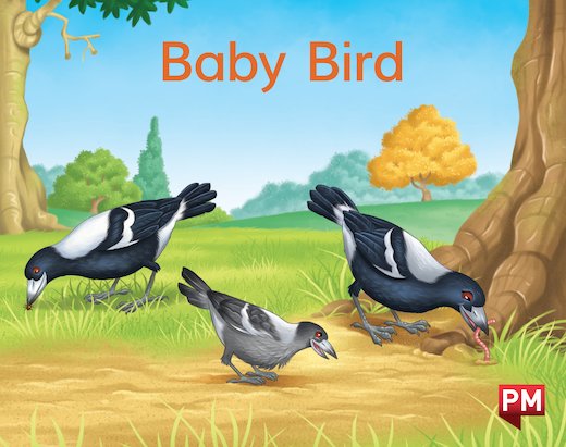 PM Magenta: Baby Bird (PM) Level 2/3 x6