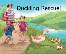 PM Green: Duckling Rescue (PM Storybooks) Level 12 PM Green: Duckling Rescue (PM Storybooks) Level 12