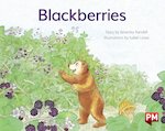 PM Yellow: Blackberries (PM Storybooks) Level 6