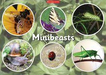 Minibeasts – poster