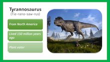 Dinosaurs slideshow/flashcards