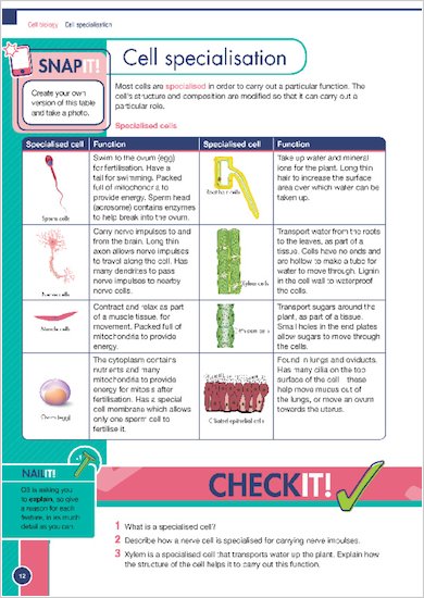 GCSE Grades 9-1: Combined Sciences Revision Guide for All Boards Snap it, Nail it, Check it examples