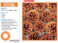 Natural textures circle-time cards