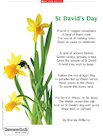 St David’s Day – poem