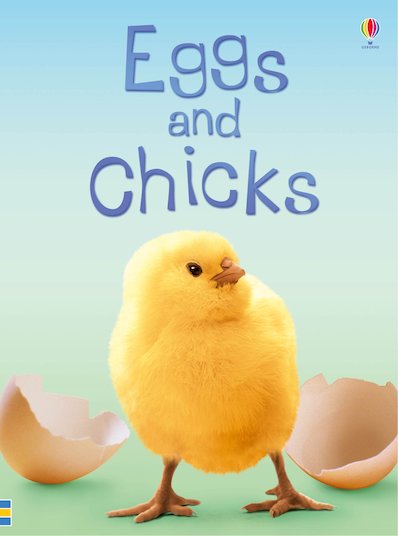 Eggs and  Chicks
