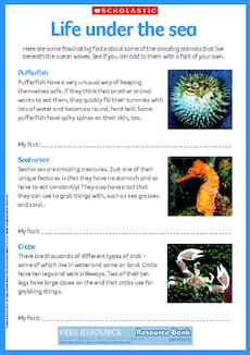 Life under the sea Life under the sea