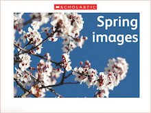 Spring image slideshow