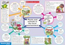Plants and animals in the local environment