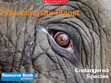 Protecting Our Planet – Endangered Species
