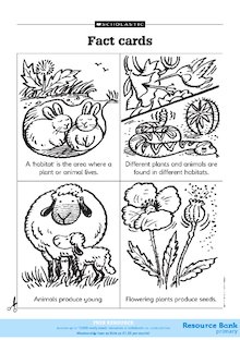 Fact cards: Plants and animals 2