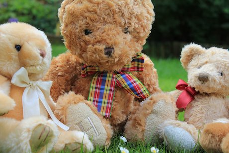 teddy bears' picnic