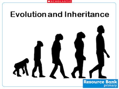 Evolution and Inheritance ppt lessons – Primary KS2 teaching resource -  Scholastic