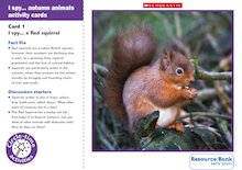I spy… autumn animal activity cards