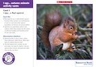 I spy… autumn animal activity cards
