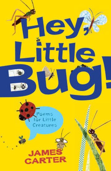 Hey Little Bug! Poems for Little Creatures x 6