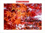 Autumn images and sounds slideshow