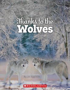 Thanks to the Wolves Thanks to the Wolves