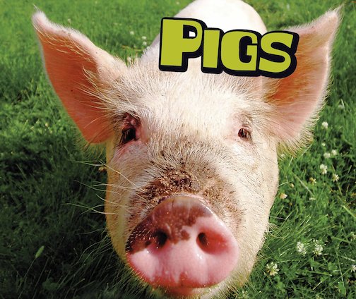 Pebble Plus: Farm Animals - Pigs