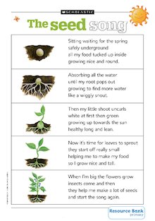 Plants and growing: The seed song