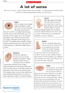The five senses – fact sheet