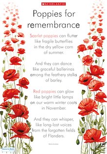 Poppies for remembrance poster