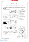 Hanukkah: Potato latkes recipe