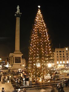 elt trafalgar square  christmas tree.jpg