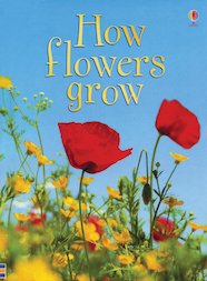 How Flowers Grow