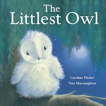 The Littlest Owl