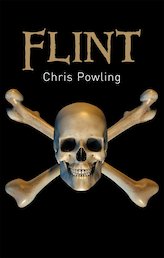 Barrington Stoke Gr8 Reads: Flint