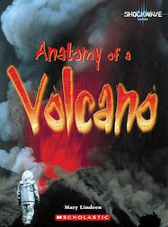 Anatomy of a Volcano
