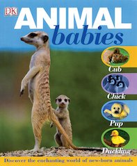 Animal Babies
