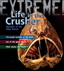 Extreme! Life in the Crusher
