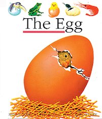 First Discovery: The Egg