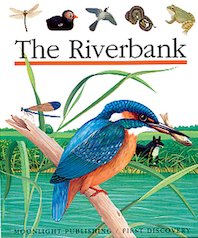 First Discovery: The Riverbank